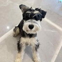 ペット メガネ 犬用 ベビー ゴーグル コーギー テディベア サングラス フレンチブルドッグ ボーダーコリー 乗馬 風防.シンプル