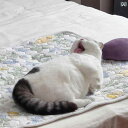 【 ベッド シーツに 毛が 残らない!】 夏 寝かし つけに 猫 マット 四季 通し 犬用 ペット.可愛いカラフルカラー.オシャレ