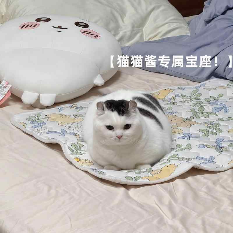 LINEAR shopの【 ベッド シーツに 毛が 残らない！】 夏 寝かし つけに 猫 マット 四季 通し 犬用 ペット.可愛いカラフルカラー.オシャレ｜アングル3