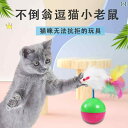 おもちゃ タンブラー 古い ぬいぐるみ マウス 猫 インタラクティブ 知 育 玩具 ボール.可愛いカラフルカラー.オシャレ