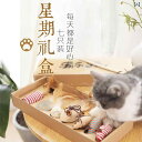 おもちゃ 羽根 付き ティーザー スティック 噛みつき 防止 歯 固め 子猫用 セルフ エンターテイメント セット 身体 消費 用品
