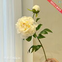 豪華 人工 牡丹の 軽量 花束 リビング ルームの 装飾 花の テーブル.シンプルスタイル.カラフルカラーオシャレ2025年