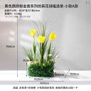 造花 植物は シーン レイアウトの 柔らかい 装飾 作成の の大きな 屋内 風景 窓.カラフルカラーオシャレかわいい