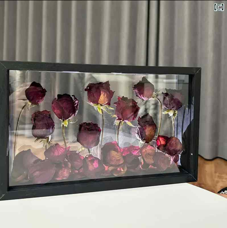 ξ�� Ʃ�� �ɥ饤�ե� �ե��ȥե졼�� ���� DIY ���Ǥ� �� ��� ��¸ �ǥ����ץ쥤 �ܥå��� ���� �ѥå�����.����ץ�