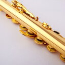 フルート 楽器 金メッキ 24K ゴールド 17 穴 B テール 開閉 式 大人 子供 学生 一般 プロ 仕様 パフォーマンス練習 本格的