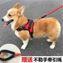 ワトソンズ 犬用 ヘッド カラー 首輪 牽引 ロープ ベスト ウォーキング テディ フレンチブルドッグ コーギー 中型 小型 アウトドア