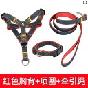 犬用 牽引 ロープ 大型 中型 小型 チェーン 首輪 テディ ゴールデンレトリバー 散歩 ペット 用品 アウトドア お出かけ用