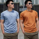 Tシャツ メンズ 男性用 スポーツ カジュアル 半袖Tシャツ 鹿の子風 接触冷感 部屋着 トレーニングウェア ブラック ホワイト グレー ブルー オレンジ