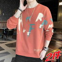 Tシャツ メンズ 長袖 春秋 薄手 ラウンドネック プリント柄 プルオーバー トップス カットソー 普段着 部屋着 ポリエステル混紡 伸縮性