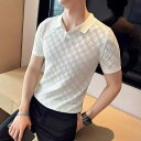 ポロシャツ メンズ 半袖 Tシャツ 薄手 ニット 格子柄 ポリエステル 普段使い カジュアル スタイル 白 黒 緑(x2)