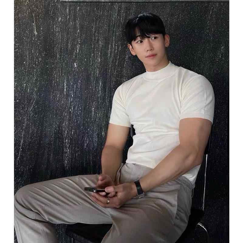 Tシャツ メンズ 薄手 ハイネック ニット トップス 接触冷感 ポリエステル混紡 無地 半袖 インナー レイヤードスタイル カットソー 普段使い 部屋着 黒 白