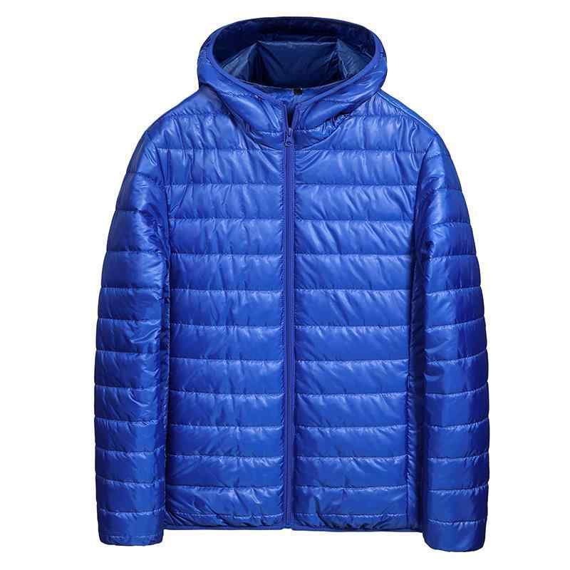 �� ���㥱�å� ������ ���� �ա����դ� �����ѡ� �֥륾�� ������ �����졼 �� ���� ���� �ݥꥨ���ƥ�