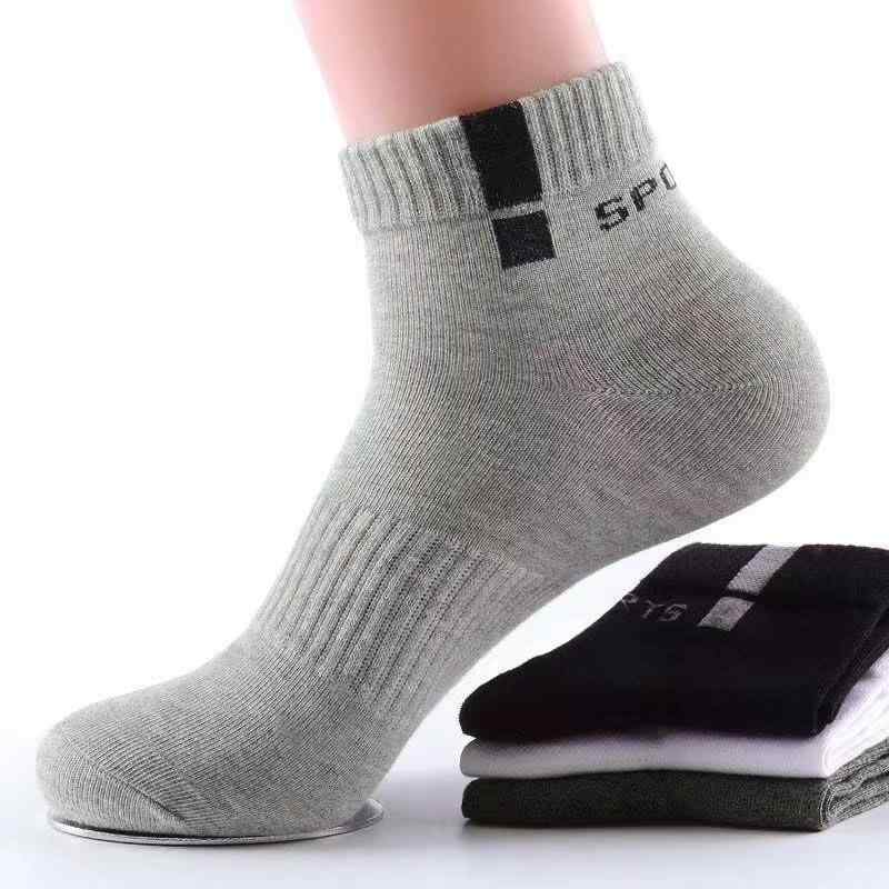 ���� ��� ������ ���� �ɽ� ���ݡ��� ���硼�ȥ��å��� ���åȥ��� �ղ� ���� 6­���å� �� �� ���졼