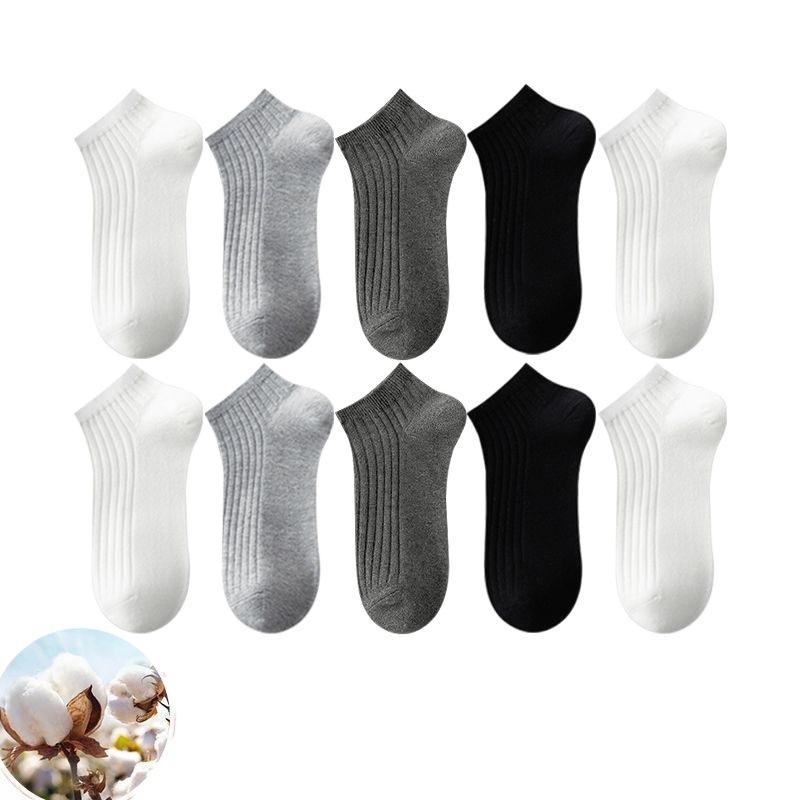 ���� ��� ������ ���� ���åȥ� �̵��� �۴� �ɽ� ���硼�� ��� ���å��� 10­���å� ���� �֥�å� �ۥ磻�� ���졼 �����奢��