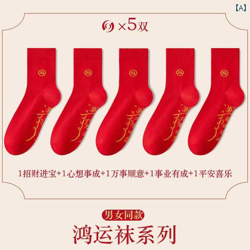 ���� ��� ��ǥ����� �����奢�� ���åȥ� ���å��� �� 5­���å� ��̿ǯ ���ʻȤ�(x2)