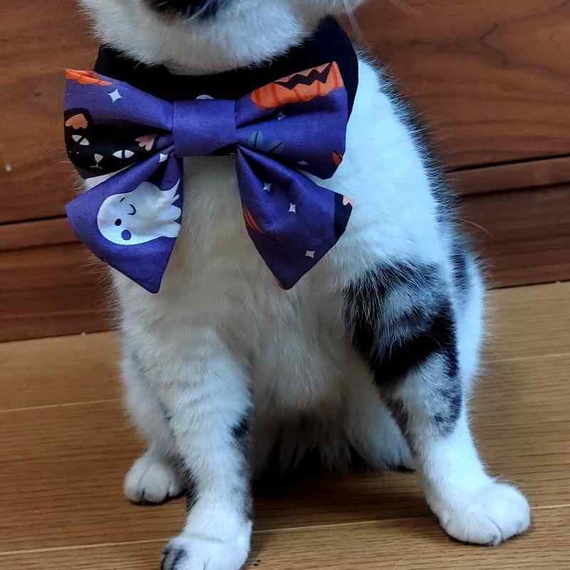 犬猫用首輪 クリスマス ハロウィン コスチューム ペット用スタイ コットン製 犬用 猫用 チョーカー 汎用 おしゃれ かわいい INS風(x5)