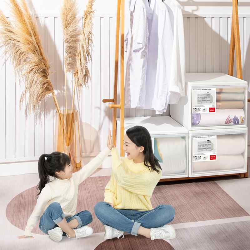 収納ボックス デスクトップ 家庭用 おもちゃ 衣類 整理箱 プラスチック クローゼット 衣装ケース 下着..