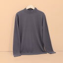 トップス メンズ 徳绒(デュロン) 保温 インナー カットソー ハーフハイネック プルオーバー 無地 部屋着 長袖 秋冬 ブラック ダークブルー ダークグレー グリーン ブラウン L XL 2XL 3XL 4XL