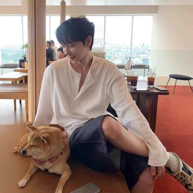 Tシャツ メンズ 春秋用 韓国 ワッフル ヘンリーネック ストライプ 長袖 ゆったり 無地 通気性