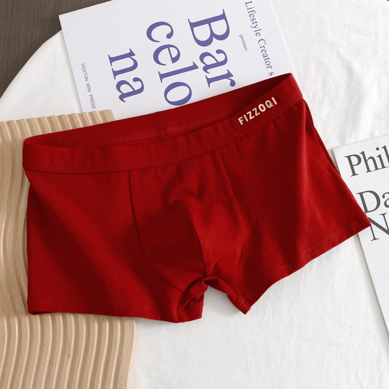パンツ 男性用 赤 下着 ボクサーパンツ メンズ 龍 干支 綿 平角 中腰 無地 成人 普段使い M L XL 2XL 3XL 4XL