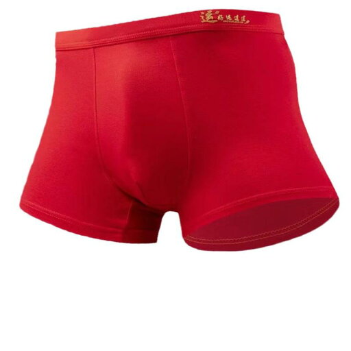 パンツ 男性用 下着 インナー 精梳綿 コットン 赤 通気性 短パン ブリーフ 3XL 4XL 5XL(x10) パンツ 男性用 下着 インナー 精梳綿 コットン 赤 通気性 短パン ブリーフ 3XL 4XL 5XL(x10)