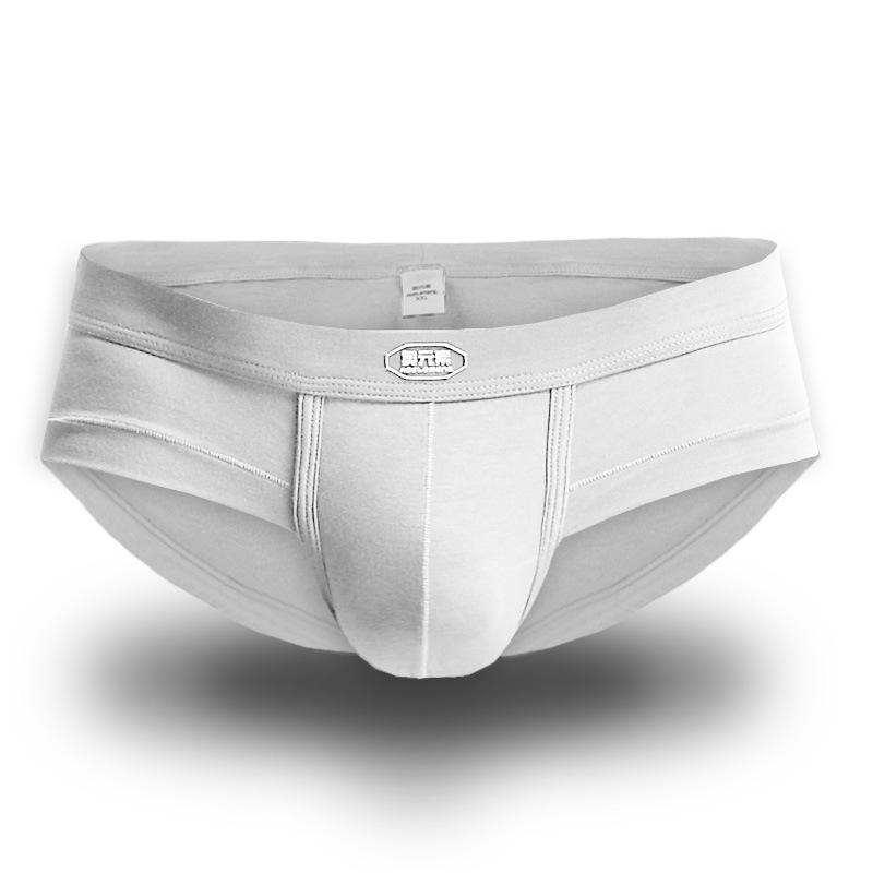 メンズ 下着 U字型 男性用 ショーツ 再生繊維 スポーツ 吸汗 快適 通気性 ローライズ ブリーフ 白 紫 黒 紺色 L XL XXL XXXL オールシーズン