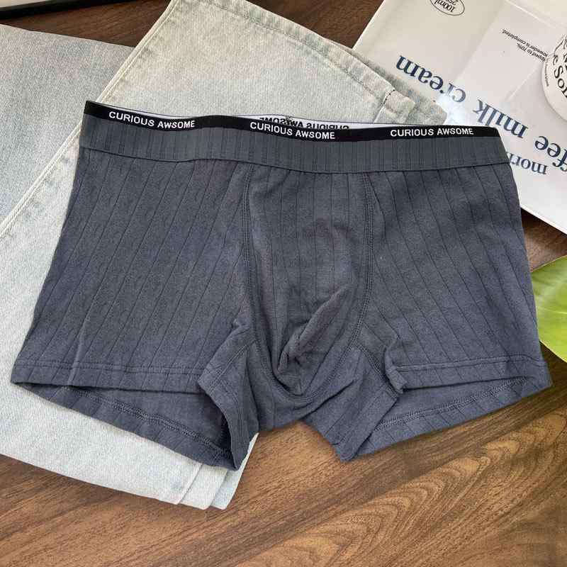 パンツ メンズ 男性用 ボクサーパンツ 綿 通気性 スポーツ インナー 快適 無縫製 中腰 ベージュ 薄灰 濃灰 薄緑 青 L XL 2XL 3XL 春夏秋冬 オールシーズン(x2)