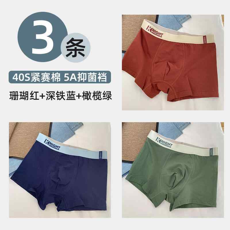 メンズ 下着 トランクス 綿 四角 短パン 男性用 大きいサイズ ゆったり 通気 (x2)