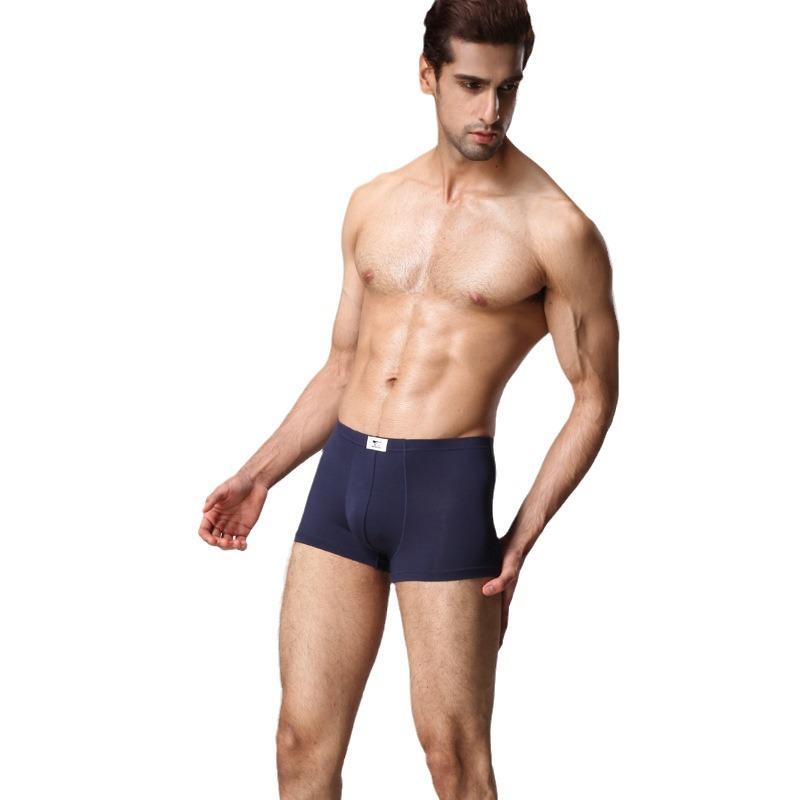 ・主な素材: 粘纤・素材: モーダル・柄: 無地・対象: 成人男性・カラー: 2枚セット・サイズ: L, XL, XXL, XXXL・腰タイプ: ミドルウエスト・シームレス: 否・包装: 箱入り・枚数: 2枚