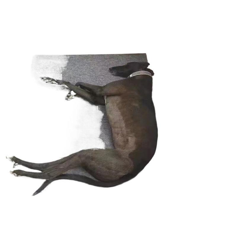 ペット用マット 犬用ベッド 四季通用 厚手 暖か 保温 防寒 破れにくい 鉄製ケージ対応 除菌 消臭 50*60..