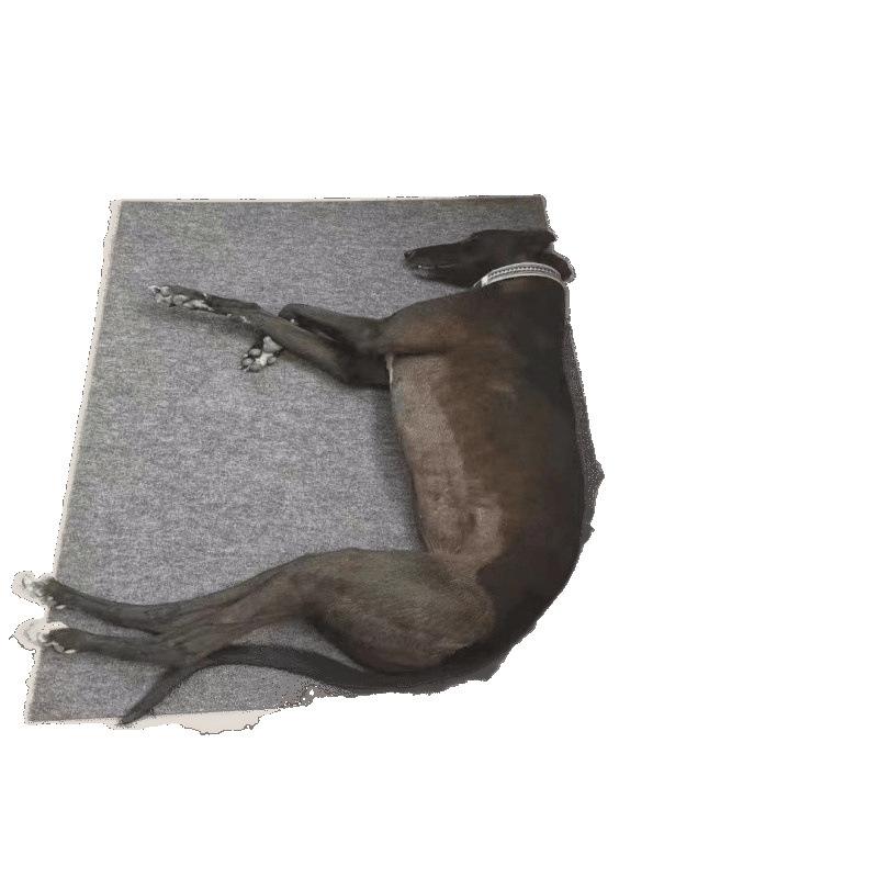 ペット用マット オールシーズン 犬 猫 ベッド 厚手 保温 防寒 ケージ用 丈夫 破れにくい 50×60 100×120..