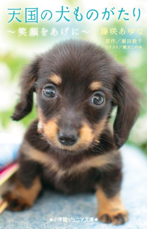 Rakuten - 【中古】天国の犬ものがたり~笑顔をあげに~ (小学館ジュニア文庫 ほ 1-8)