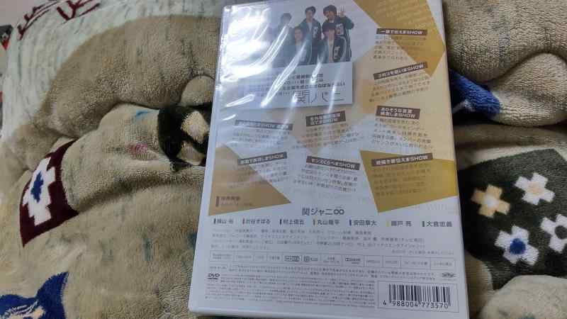 楽天市場】関 パニ dvdの通販