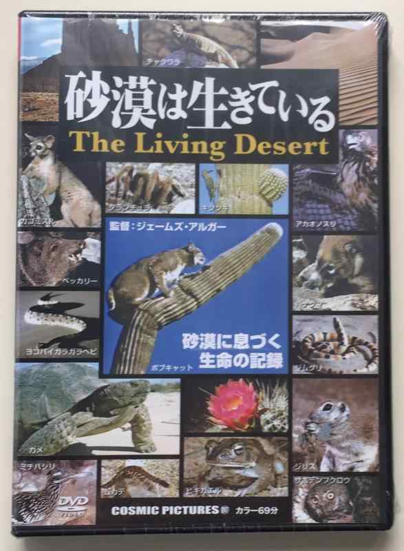 【中古】砂漠は生きている CCP-897 [DVD]