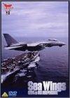 SeaWings 米海軍第5空母航空団&amp;空母インディペンデンス 