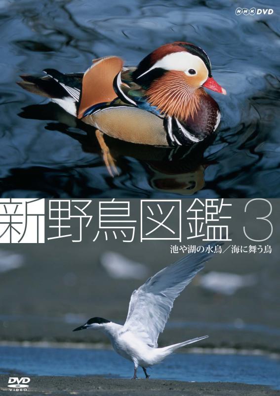 楽天市場】水鳥 図鑑の通販