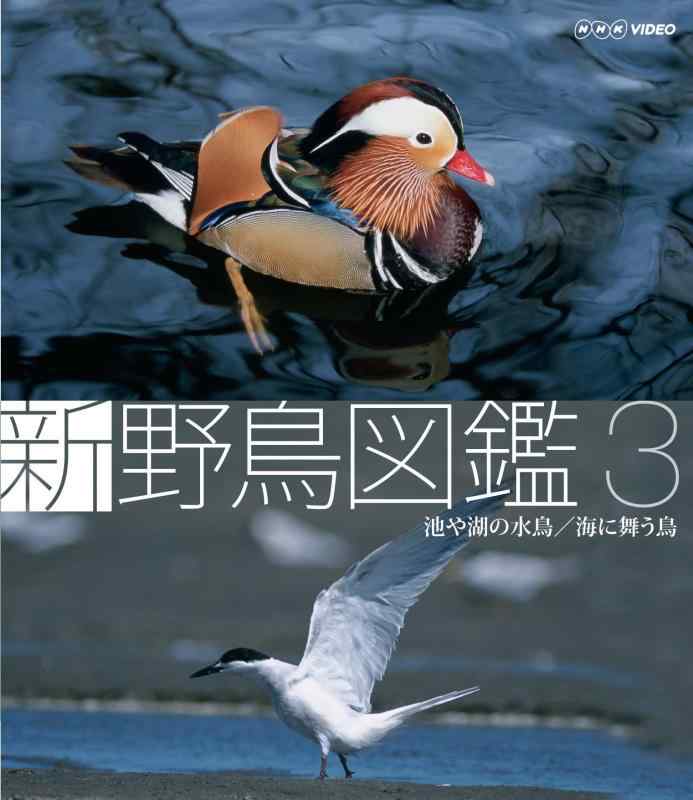 楽天市場】水鳥 図鑑の通販