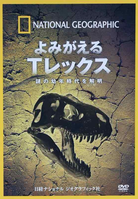 【中古】ナショナル ジオグラフィック よみがえるTレックス 謎の幼年時代を解明 [DVD] linears-10723356 LINEAR shop パッケージ画像