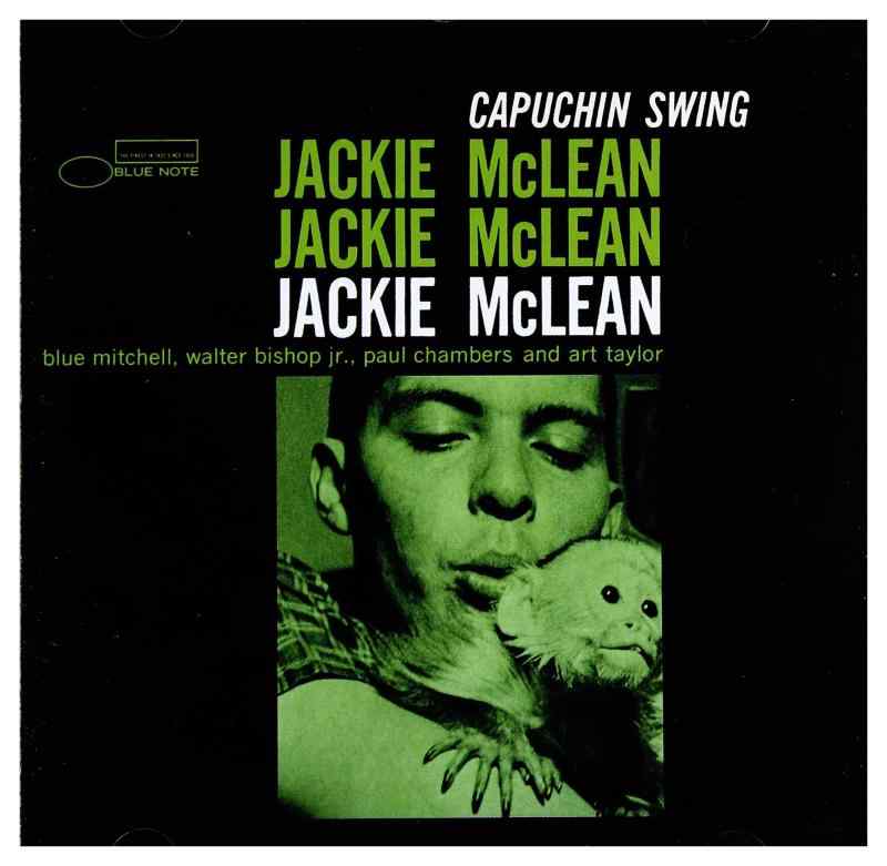 Capuchin Swing