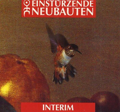 Interim