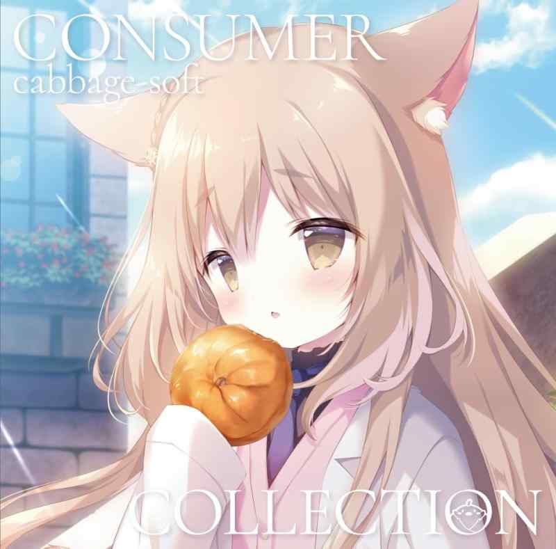 Netbook （UmPC） - 【中古】きゃべつそふと Consumer Collection 通常版