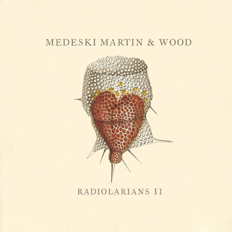 Radiolarians 2 (Dig)