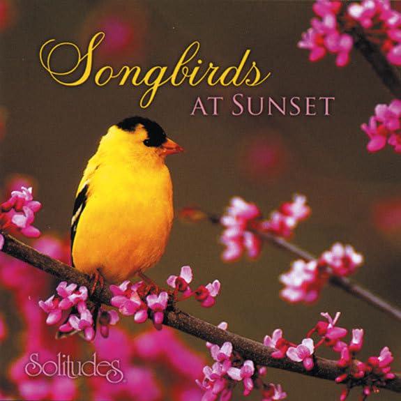 【中古】Songbirds At Sunset