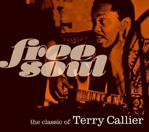 FREE SOUL the classic of TERRY CALLIER