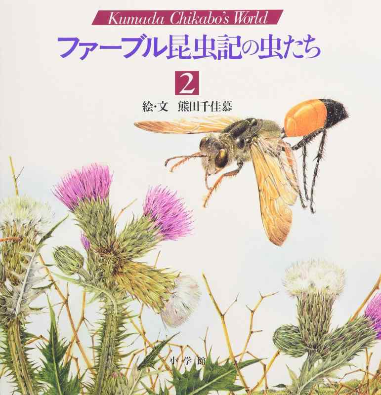 ファーブル昆虫記の虫たち (2) (KumadaChikabo’s World)