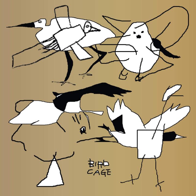 Bird Cage: Birdfriend Archives 