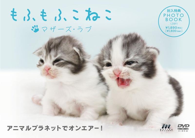 【中古】もふもふこねこ~マザーズ・ラブ~ [DVD] linears-10864082 LINEAR shop パッケージ画像
