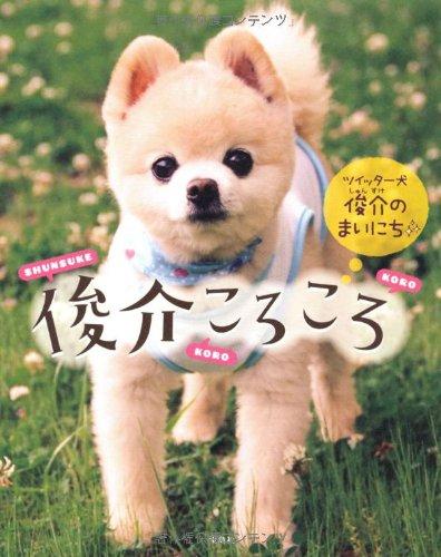 【中古】俊介ころころ～ツイッター犬　俊介のまいにち～