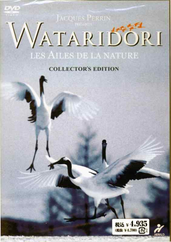 WATARIDORI~もうひとつの物語~ コレクターズ・エディション 