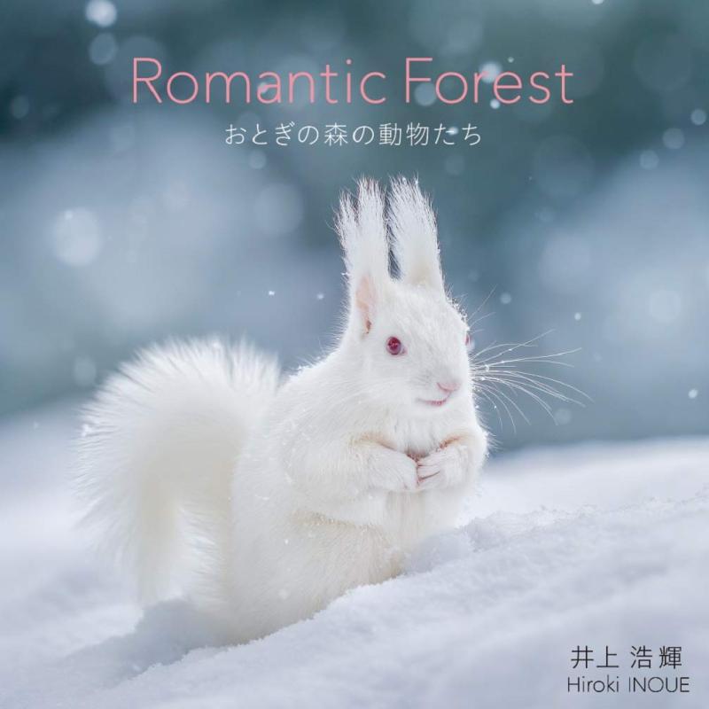 【中古】Romantic Forest おとぎの森の動物たち